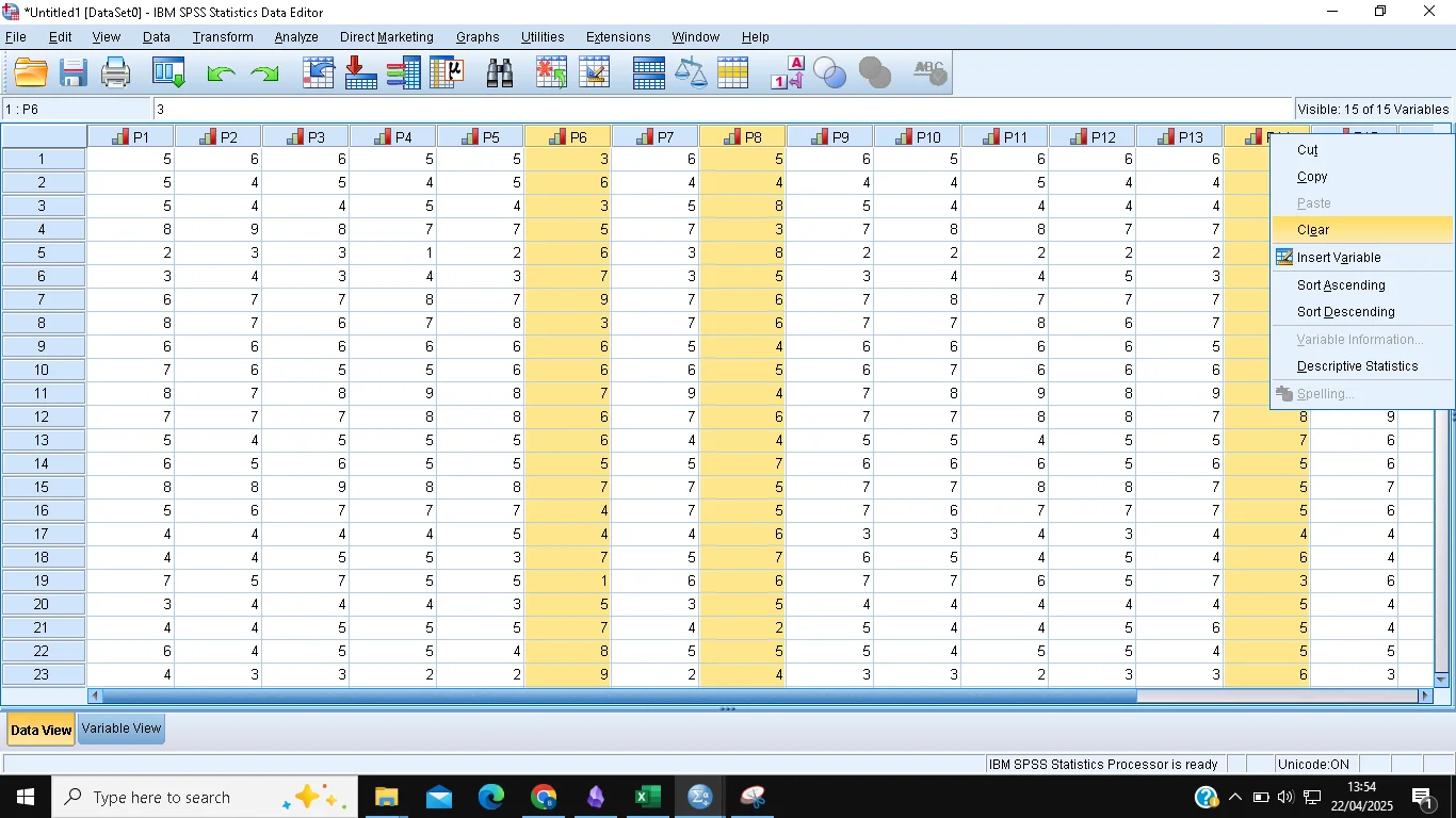 SPSS uji reliabilitas