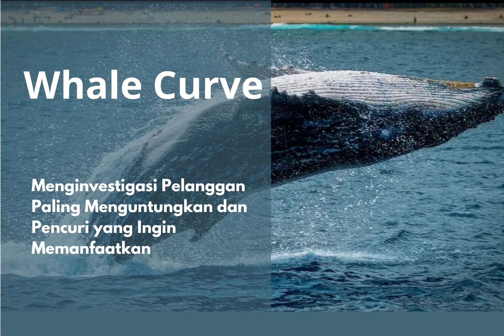 Analisis Whale Curve: Identifikasi Pelanggan Bernilai Tinggi dan Penyebab Kerugian