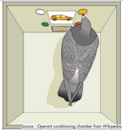 Ilustrasi Skinner Box dengan merpati