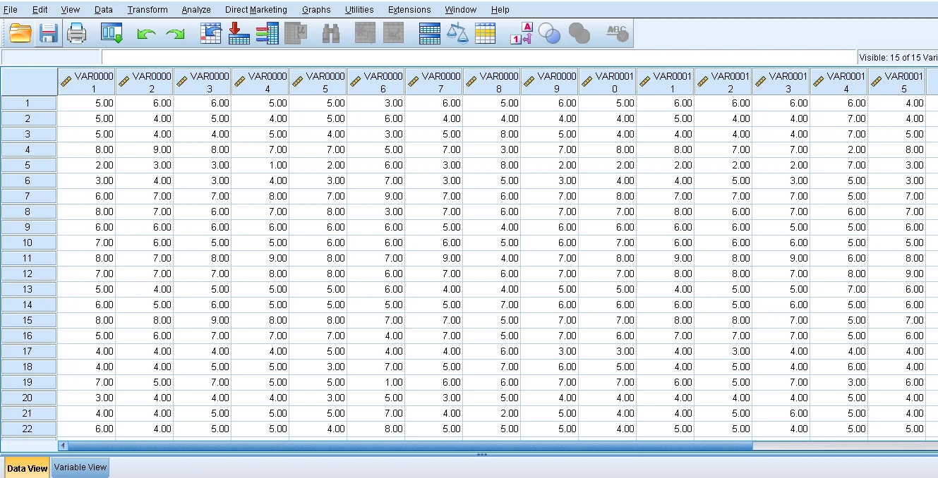 Menempelkan data dari Excel ke SPSS Data View