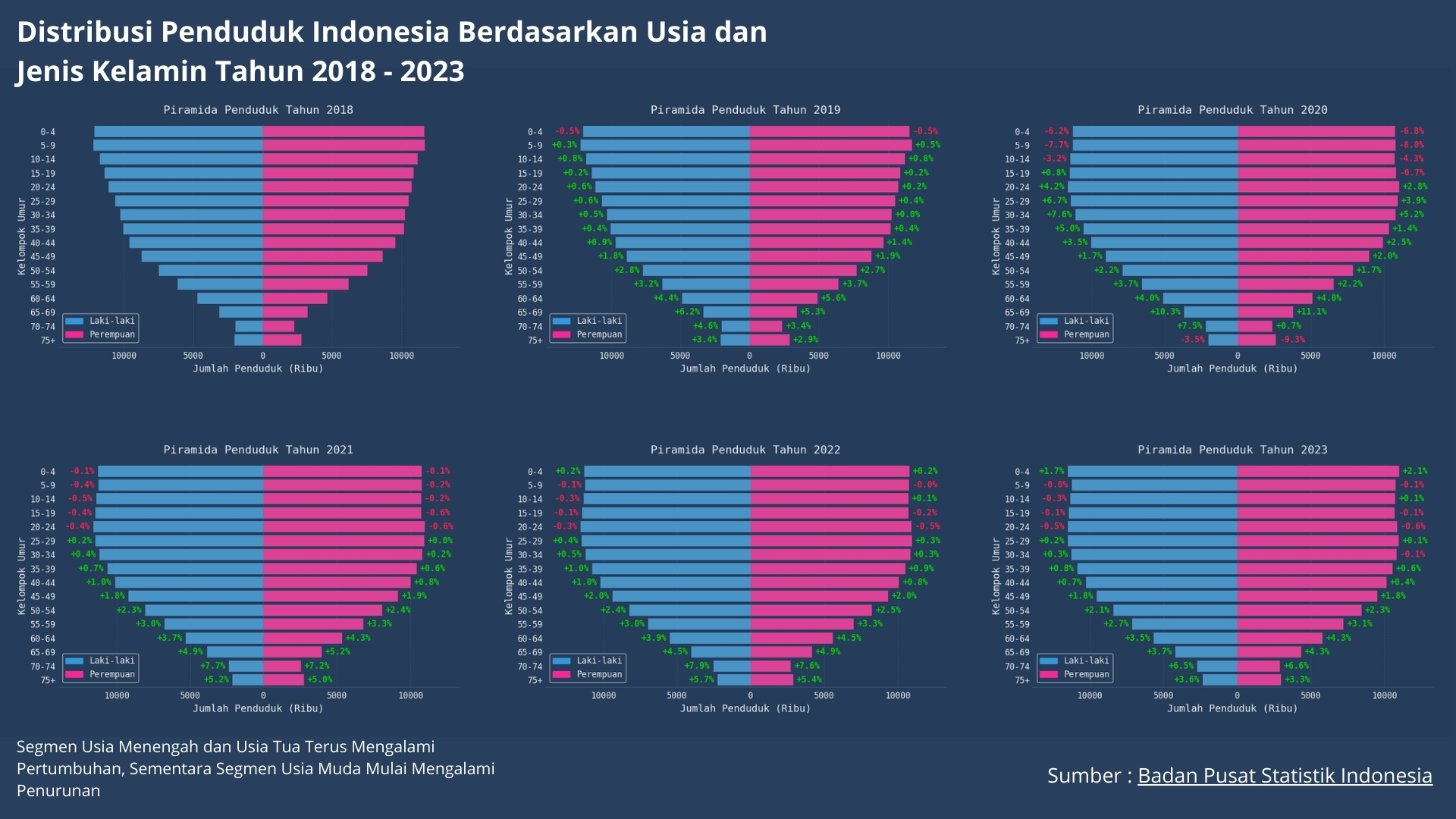 distribusi penduduk indonesia berdasarkan usia dan jenis kelamin